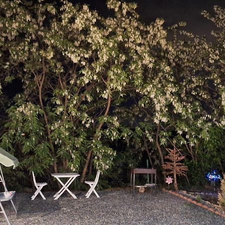 Cabana Oprisor Ocna Sibiului Εξωτερικό φωτογραφία