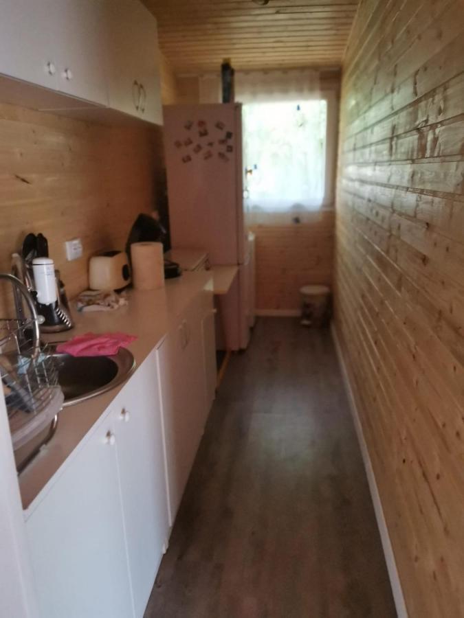 Cabana Oprisor Ocna Sibiului Εξωτερικό φωτογραφία