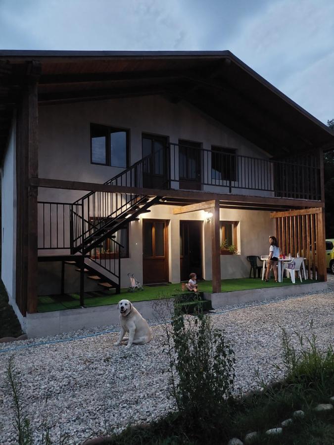 Cabana Oprisor Ocna Sibiului Εξωτερικό φωτογραφία